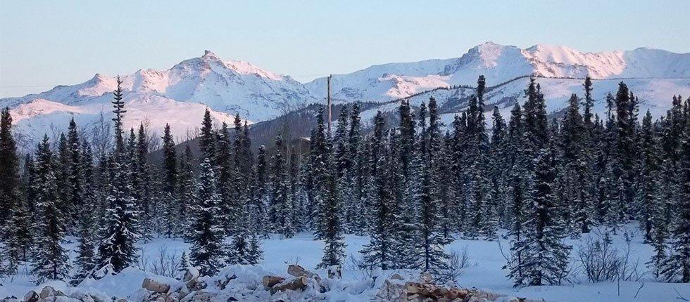 Denali Touch Of Wilderness B&B Healy Buitenkant foto